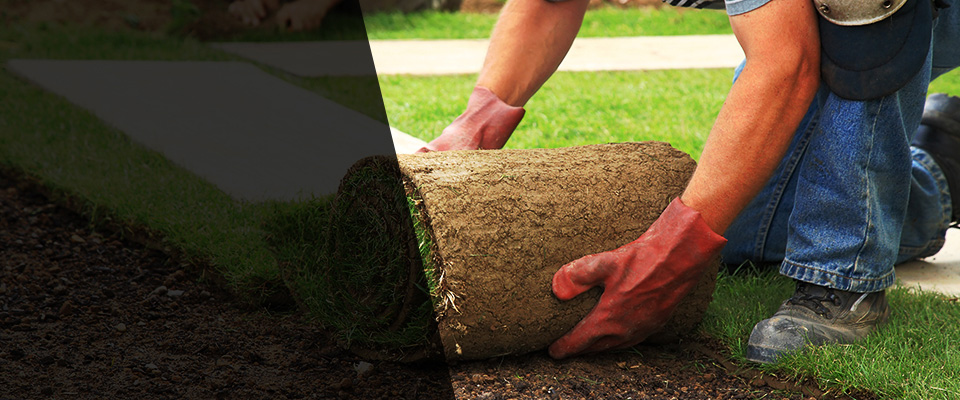 Glen Head Landscapers